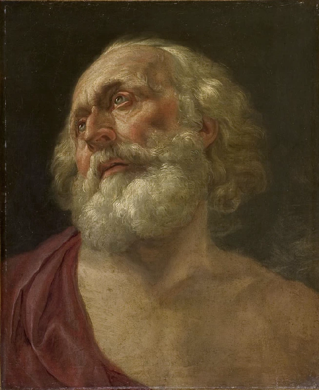 Testa di vecchio - Musée des beaux Arts de Dijon